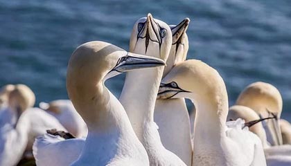 开云体育-董方卓：不是U23国足球员技术太糙，是教练没教