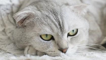 开云-开云体育——让运动点燃你的无限可能