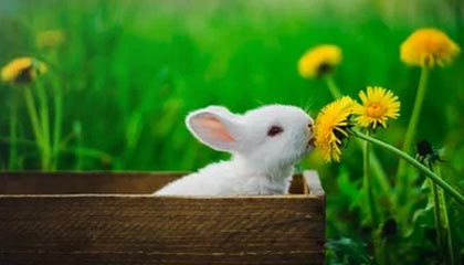 开云-开云体育——让运动点燃你的无限可能